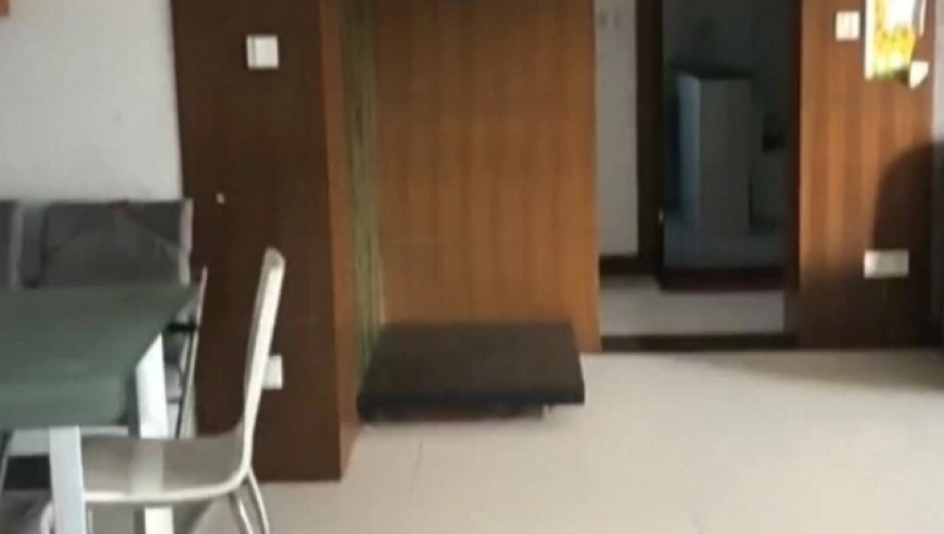 在越南设厂服装品牌股价普涨,香港二四六开奖结果开奖记录金多宝36码,准确资料解释落实_钱包版V4.94