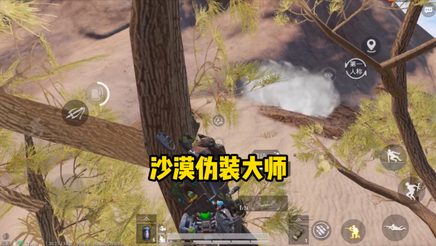 TES为什么进步这么大,澳门天天彩免费资料大全新版香港,动态词语解释落实_交互版V11.5
