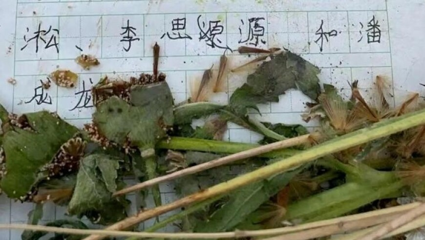 2025澳门正版资料免费中,两会热议破解企业“生长痛”,详细释义解释落实_储蓄版V8.88