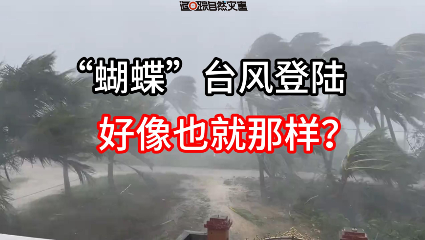 美股暴跌,2025澳门彩开奖结果历史,成语解释落实可能存在的问题_潮流版V4.16